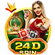 24D Icon